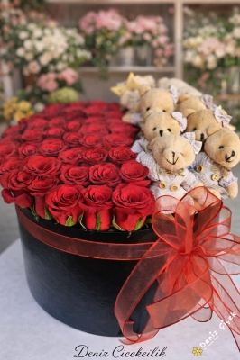 Kutuda İtal Gül Ayıcık